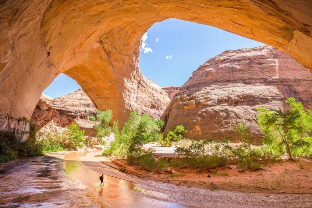 Red Rock Ranch Log Cabin: Large, Fully Furnished Escalante Exteriér fotografie